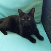 Thumbnail photo of Sadie H. #4