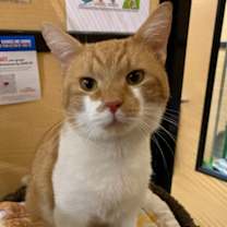 Thumbnail photo of Mr. Tim #1