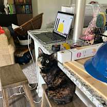 Thumbnail photo of Malcolm #3