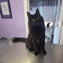 Thumbnail photo of Mariner #2