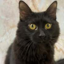 Thumbnail photo of Zarita #1