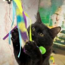 Thumbnail photo of Zarita #2