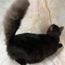 Thumbnail photo of Zarita #3