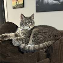 Thumbnail photo of Phil #1