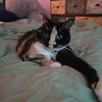 Thumbnail photo of Chloe #1