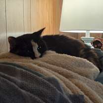 Thumbnail photo of Chloe #3