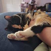 Thumbnail photo of Chloe #4