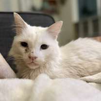 Thumbnail photo of Clint #2