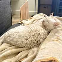 Thumbnail photo of Clint #3