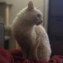 Thumbnail photo of Clint #4