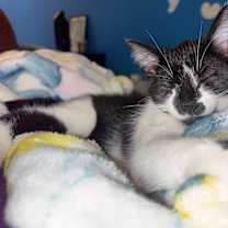 Thumbnail photo of Jam #1