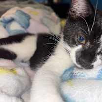 Thumbnail photo of Jam #2