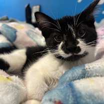 Thumbnail photo of Jam #3