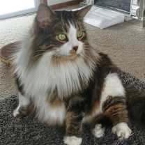 Thumbnail photo of Bubba & Bistro #2