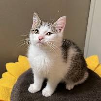 Thumbnail photo of Alexandra #1