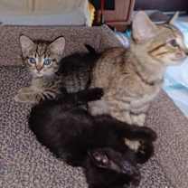 Thumbnail photo of Kaiya #3