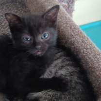 Thumbnail photo of Kaiya #4