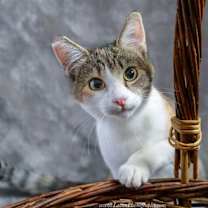 Thumbnail photo of Katie Marie #3