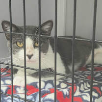 Thumbnail photo of Beyonce #4