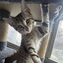 Thumbnail photo of Max Smalls #1