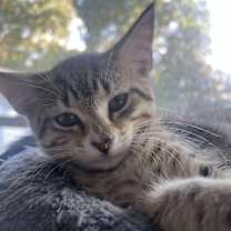 Thumbnail photo of Max Smalls #2