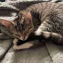 Thumbnail photo of Max Smalls #3