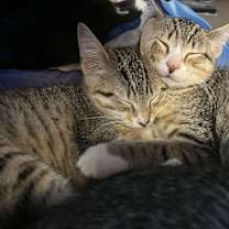 Thumbnail photo of Max Smalls #4