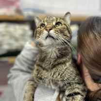 Thumbnail photo of Dalton #3