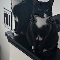 Thumbnail photo of Molly & Natalie #3