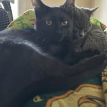 Thumbnail photo of Flint #2