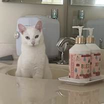 Thumbnail photo of Diamond #3