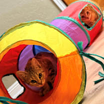 Thumbnail photo of Frank and Betsy #2