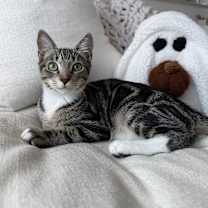 Thumbnail photo of Mickey #2