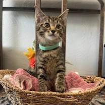 Thumbnail photo of Jason #1