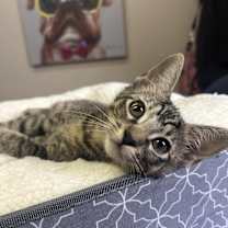 Thumbnail photo of Jason #4