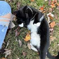 Thumbnail photo of Lila #2