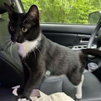 Thumbnail photo of Lila #3