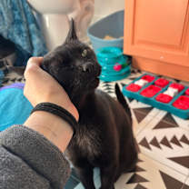 Thumbnail photo of Alley #2