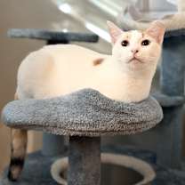 Thumbnail photo of Sloan #3