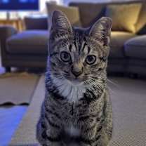 Thumbnail photo of Janne #2