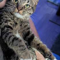 Thumbnail photo of Janne #3