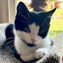 Thumbnail photo of Dwight #1