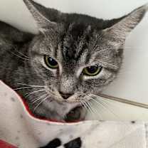 Thumbnail photo of Natasha #2