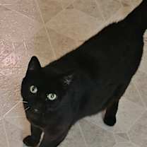 Thumbnail photo of Maisie #1