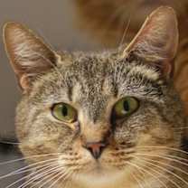 Thumbnail photo of Grace 57745 #1