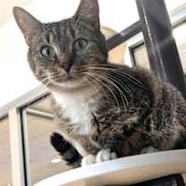 Thumbnail photo of Grace 57745 #2