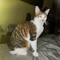 Thumbnail photo of Princess Leia #1