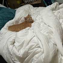 Thumbnail photo of Nuex #3