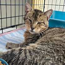 Thumbnail photo of Traveler #2