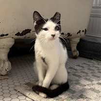 Thumbnail photo of Fabio Frazer #4